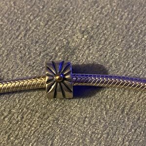 Pandora Charms